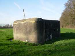 bunker D20